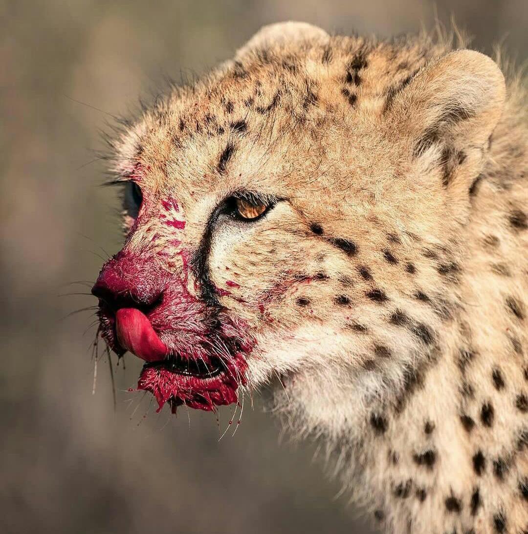 Experience The Great Holiday On Beach