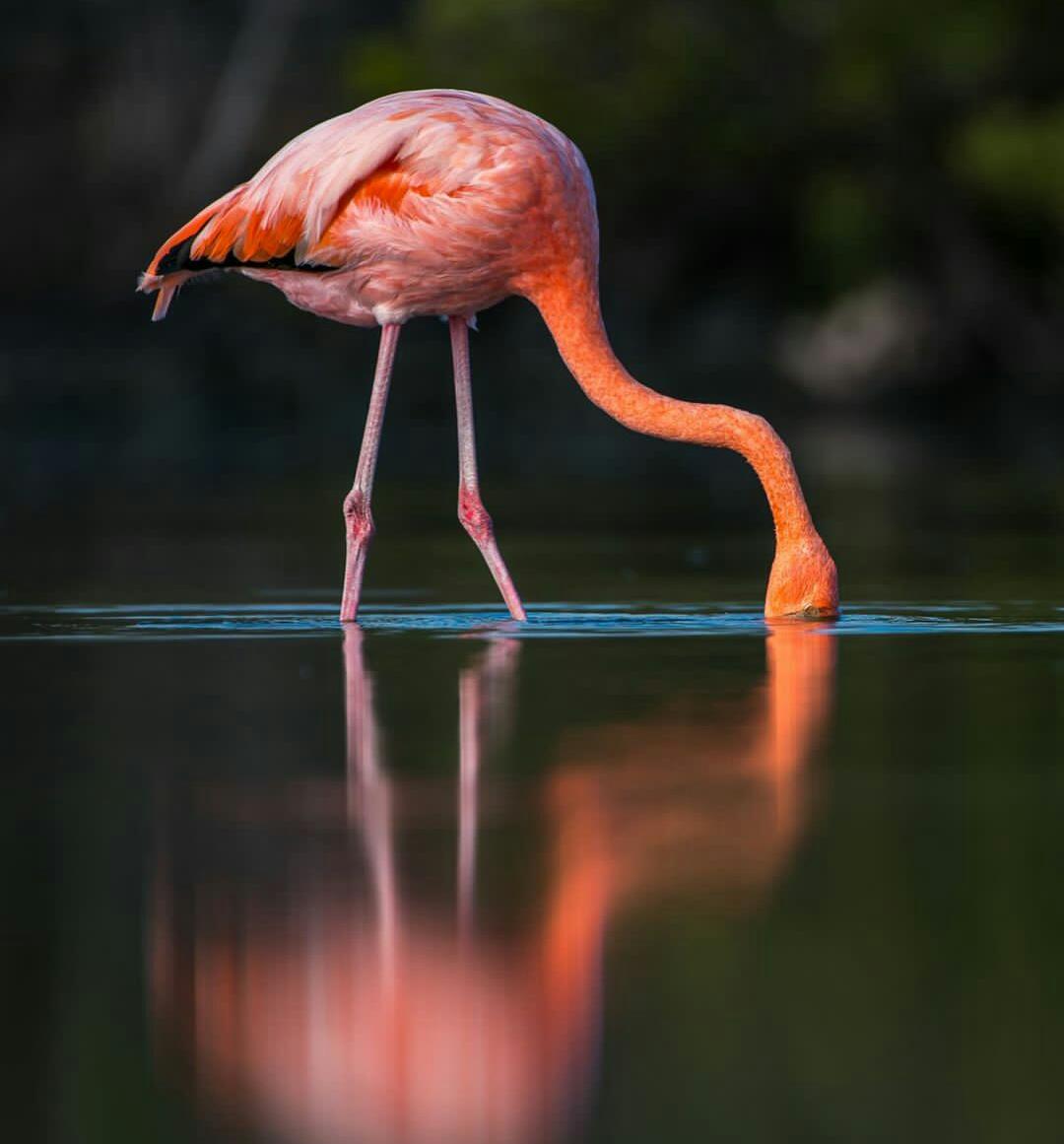 Summer Holiday To The Oxolotan River